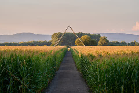 Gemeinde Atting Landkreis Straubing-Bogen Irrgarten Straubing (Dirschl Johann) Deutschland SR
